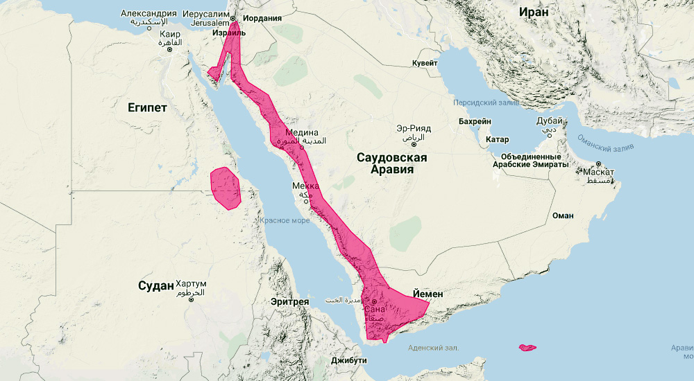 Египетский нетопырь (Hypsugo ariel) Ареал обитания на карте