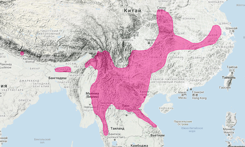 Гигантский кожан (Ia io) Ареал обитания на карте