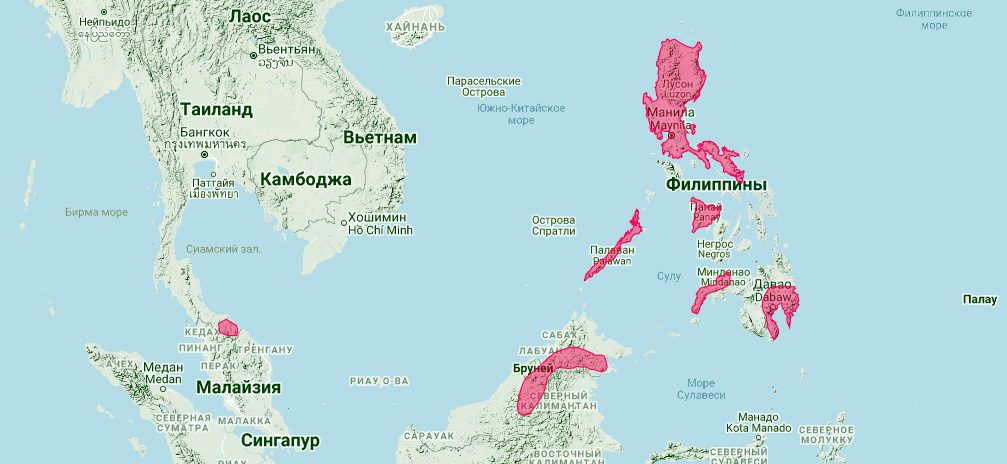 Гладконос Уайтхеда (Kerivoula whiteheadi) Ареал обитания на карте