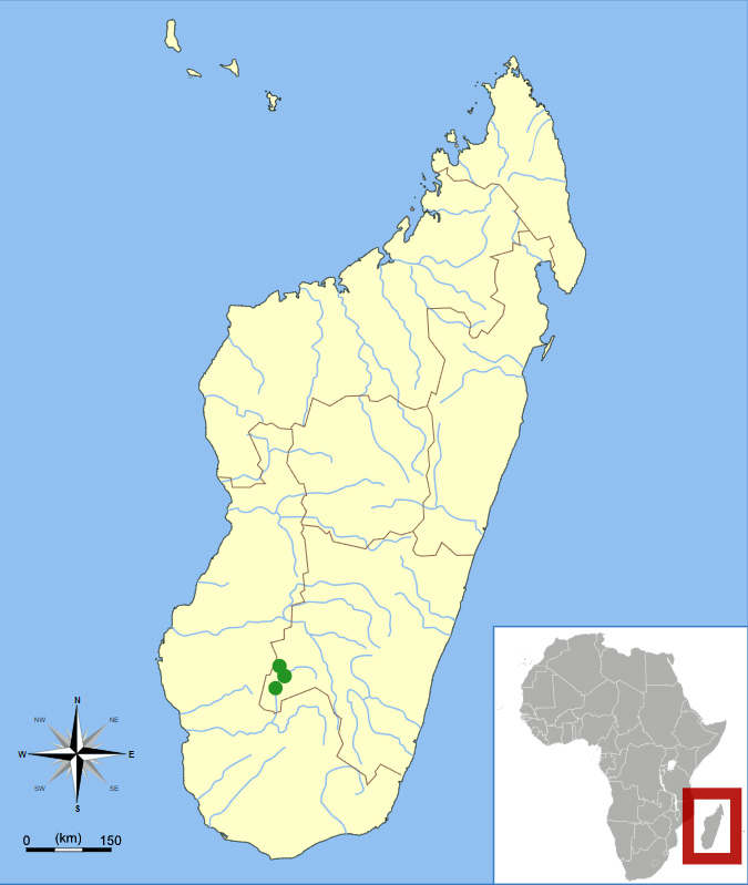 Isalo Serotine (Laephotis malagasyensis) Ареал обитания на карте