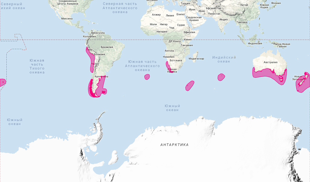 Тёмный дельфин (Lagenorhynchus obscurus) Ареал обитания на карте