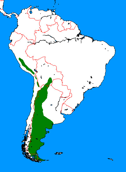 Lama guanicoe Ареал обитания на карте