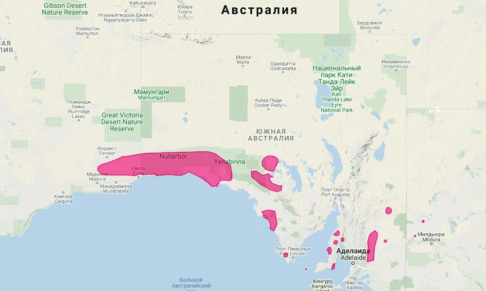 Длинношёрстный вомбат (Lasiorhinus latifrons) Ареал обитания на карте