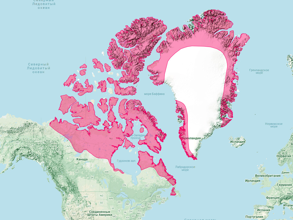 Арктический беляк (Lepus arcticus) Ареал обитания на карте