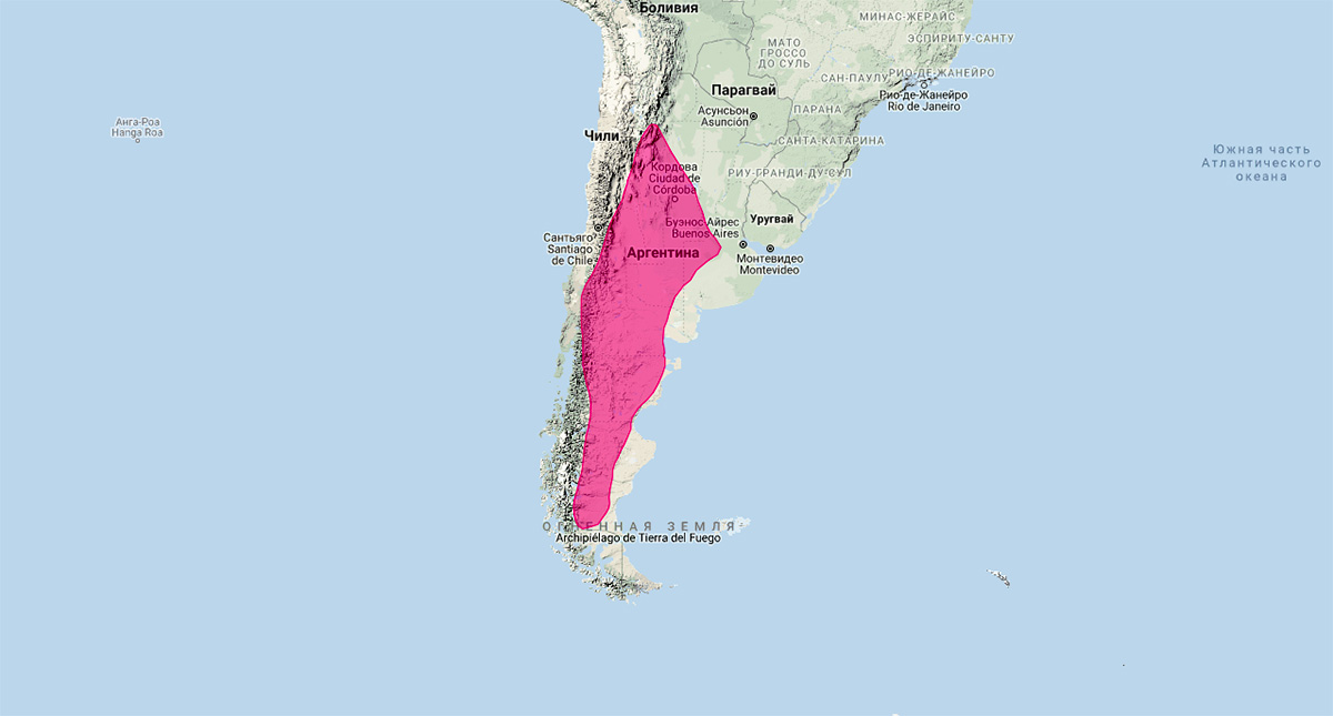 Патагонская ласка (Lyncodon patagonicus) Ареал обитания на карте