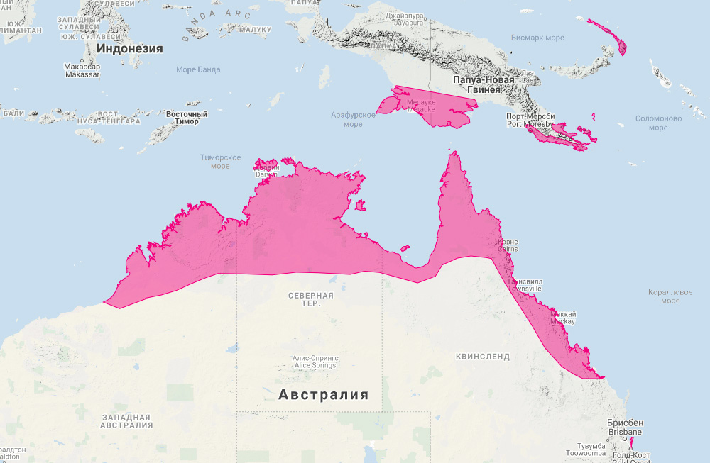 Прыткий валлаби (Macropus agilis) Ареал обитания на карте