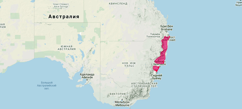 Белогрудый валлаби (Macropus parma) Ареал обитания на карте