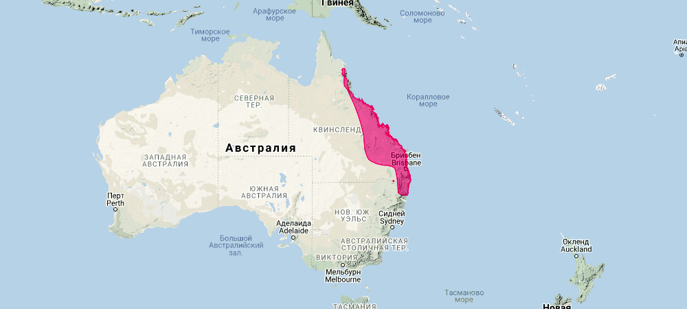 Валлаби Парри (Macropus parryi) Ареал обитания на карте