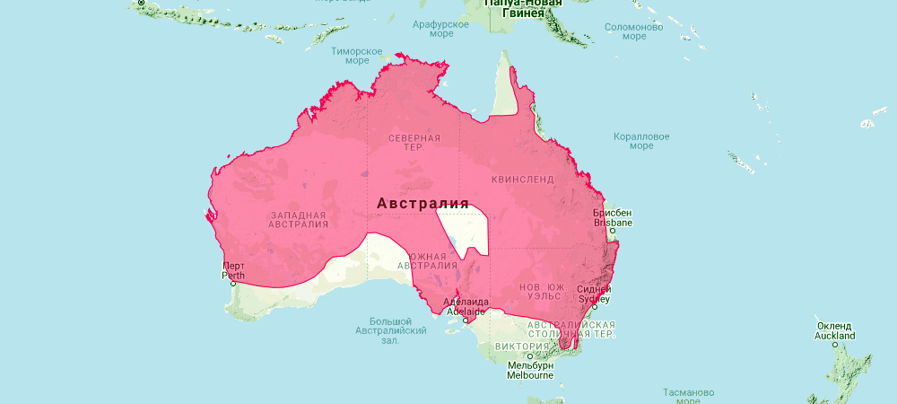 Горный кенгуру (Macropus robustus) Ареал обитания на карте