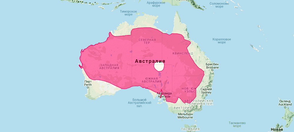 Большой рыжий кенгуру (Macropus rufus) Ареал обитания на карте