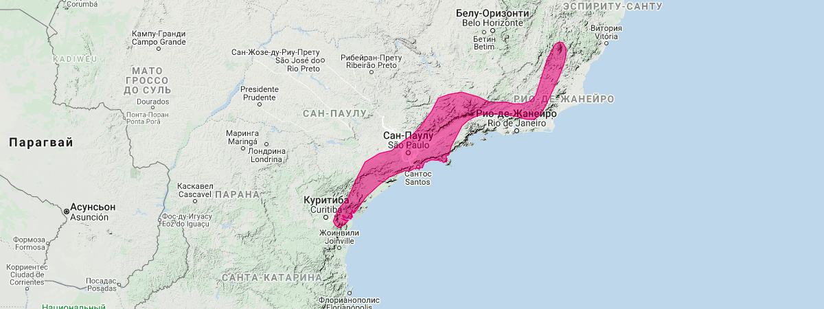 Бразильский тонкий опоссум (Marmosops paulensis) Ареал обитания на карте