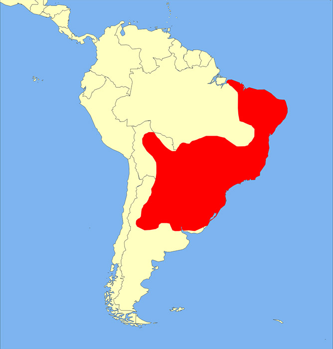 Mazama gouazoupira Ареал обитания на карте