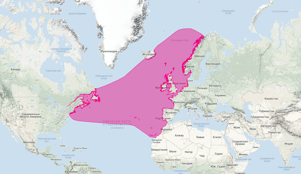 Атлантический ремнезуб (Mesoplodon bidens) Ареал обитания на карте