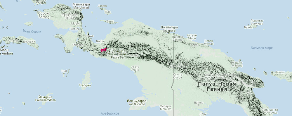 Мышевидный бандикут (Microperoryctes murina) Ареал обитания на карте