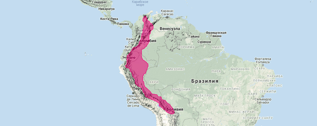 Дымчатый опоссум (Monodelphis adusta) Ареал обитания на карте