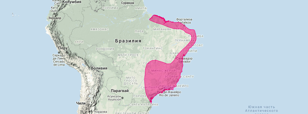 Трёхполосый опоссум (Monodelphis americana) Ареал обитания на карте