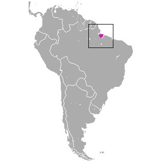 Марахойский опоссум (Monodelphis maraxina) Ареал обитания на карте