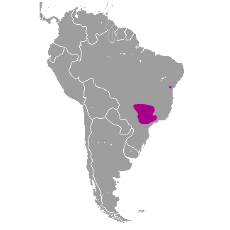 Каштановополосый опоссум (Monodelphis rubida) Ареал обитания на карте