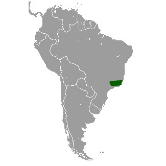 Опоссум Терезы (Monodelphis theresa) Ареал обитания на карте