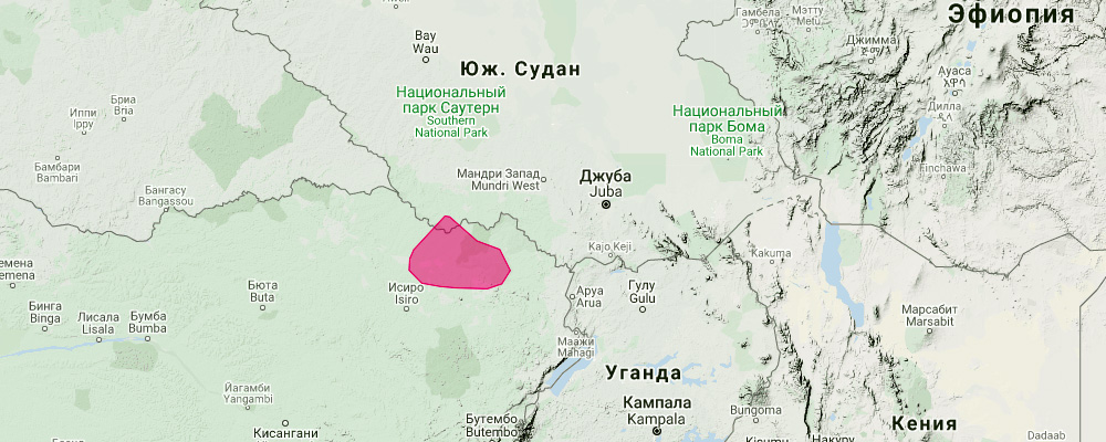 Ниангарский складчатогуб (Mops niangarae) Ареал обитания на карте
