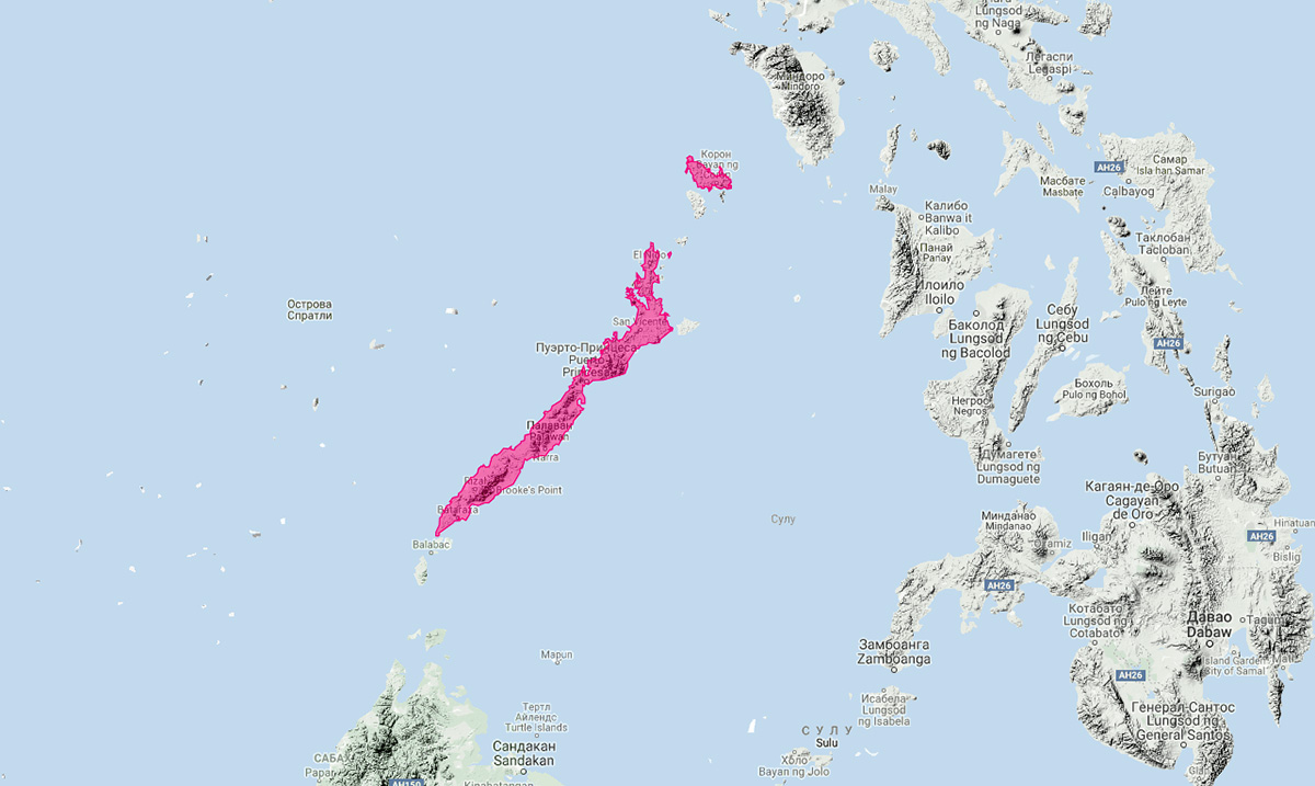 Палаванский вонючий барсук (Mydaus marchei) Ареал обитания на карте