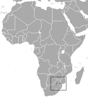 Neamblysomus julianae Ареал обитания на карте