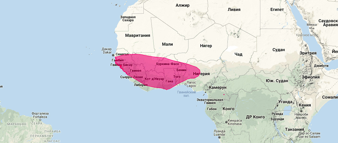 Гамбийский щелеморд (Nycteris gambiensis) Ареал обитания на карте