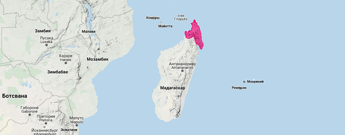 Мадагаскарский щелеморд (Nycteris madagascariensis) Ареал обитания на карте