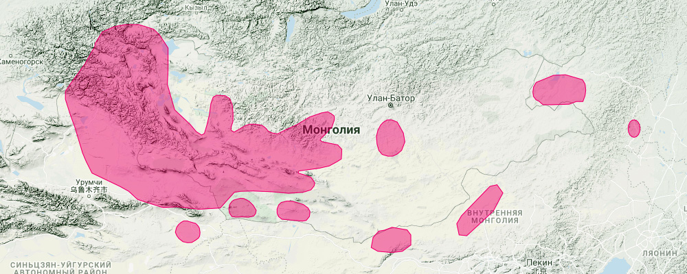 Монгольская пищуха (Ochotona pallasi) Ареал обитания на карте
