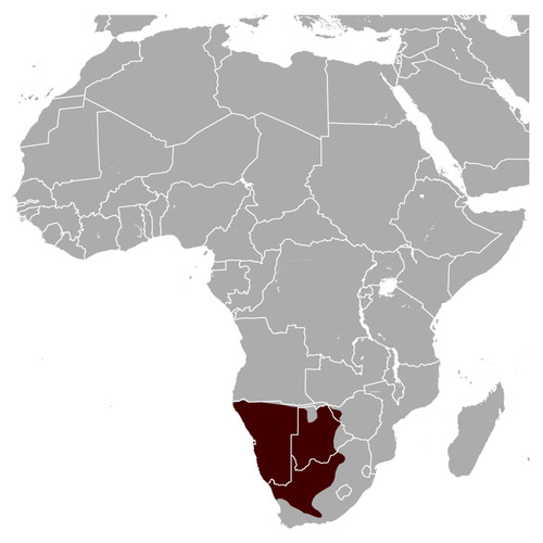 Oryx gazella Ареал обитания на карте