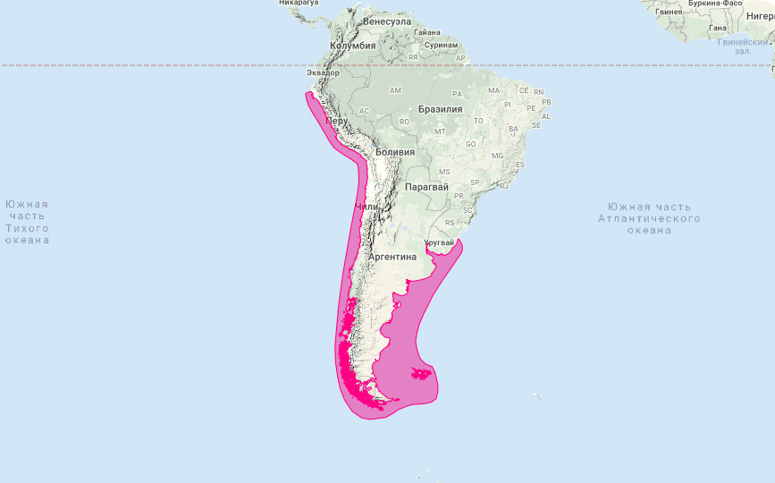 Южный морской лев (Otaria flavescens) Ареал обитания на карте