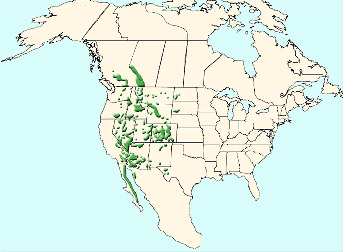 Ovis canadensis Ареал обитания на карте