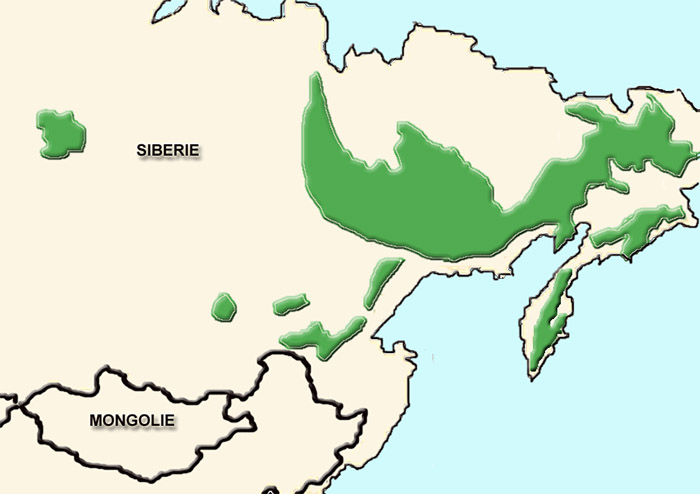 Ovis nivicola Ареал обитания на карте