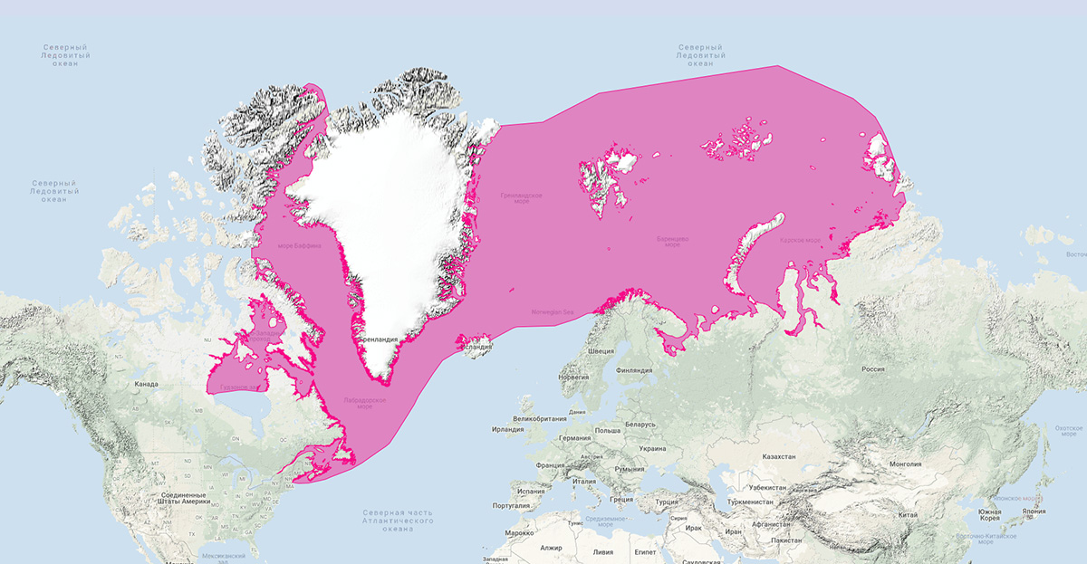 Гренландский тюлень (Pagophilus groenlandicus) Ареал обитания на карте