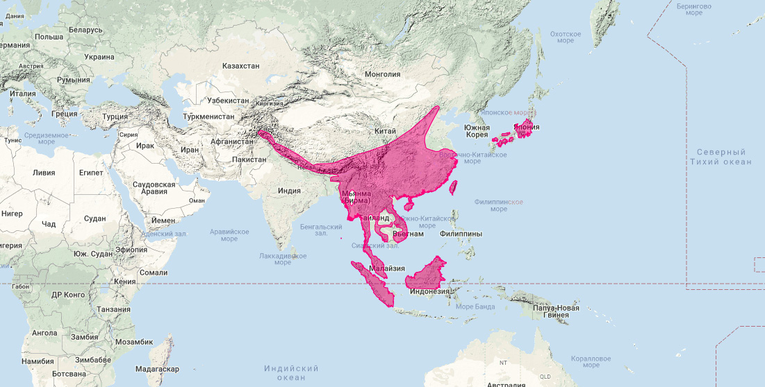 Гималайская цивета (Paguma larvata) Ареал обитания на карте
