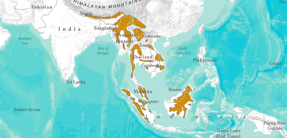 Pardofelis marmorata Ареал обитания на карте