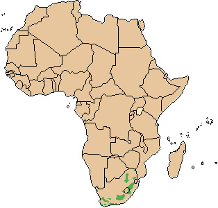 Pelea capreolus Ареал обитания на карте