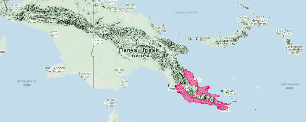 Гигантский бандикут (Peroryctes broadbenti) Ареал обитания на карте