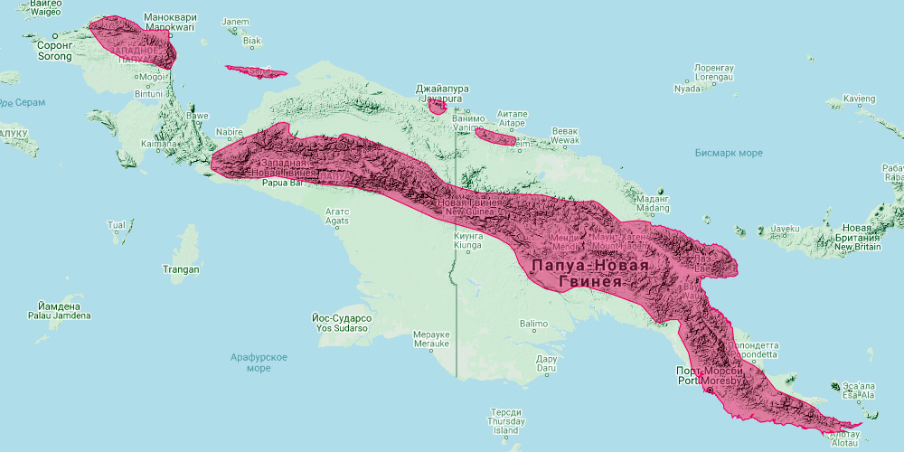 Новогвинейский бандикут (Peroryctes raffrayana) Ареал обитания на карте