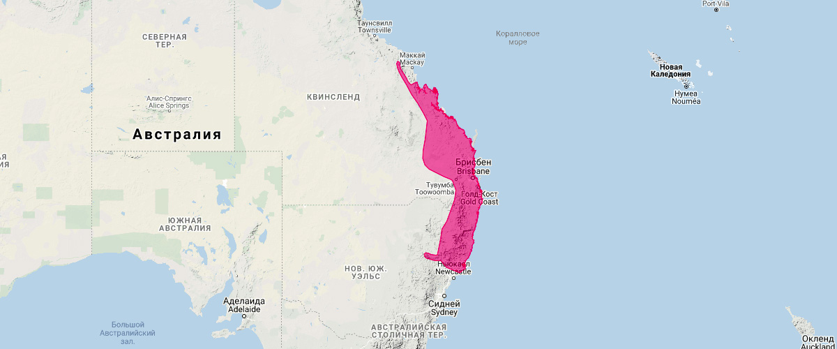 Большая сумчатая летяга (Petaurus australis) Ареал обитания на карте