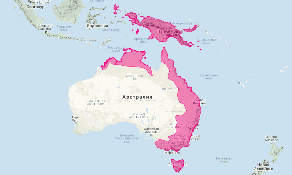 Сахарная сумчатая летяга (Petaurus breviceps) Ареал обитания на карте