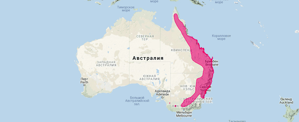 Средняя сумчатая летяга (Petaurus norfolcensis) Ареал обитания на карте