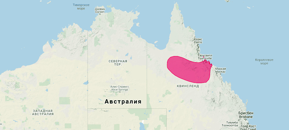 Квинслендский скальный валлаби (Petrogale assimilis) Ареал обитания на карте