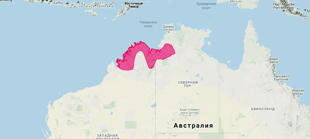 Короткоухий валлаби (Petrogale brachyotis) Ареал обитания на карте
