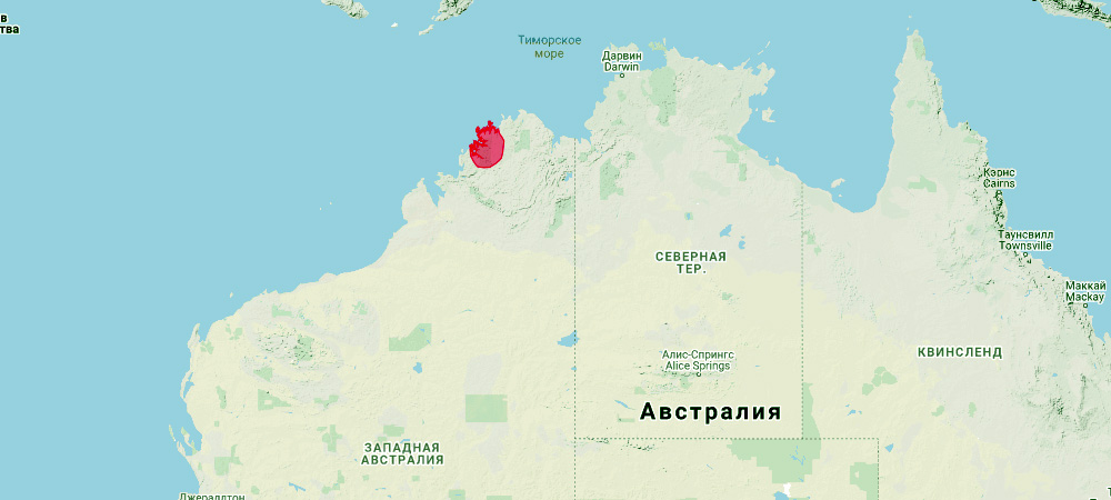 Валлаби Барбиджа (Petrogale burbidgei) Ареал обитания на карте