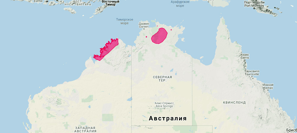 Карликовый скальный валлаби (Petrogale concinna) Ареал обитания на карте