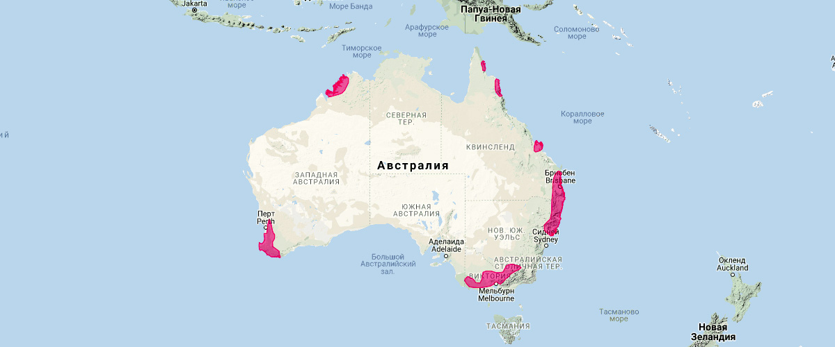 Тафа (Phascogale tapoatafa) Ареал обитания на карте