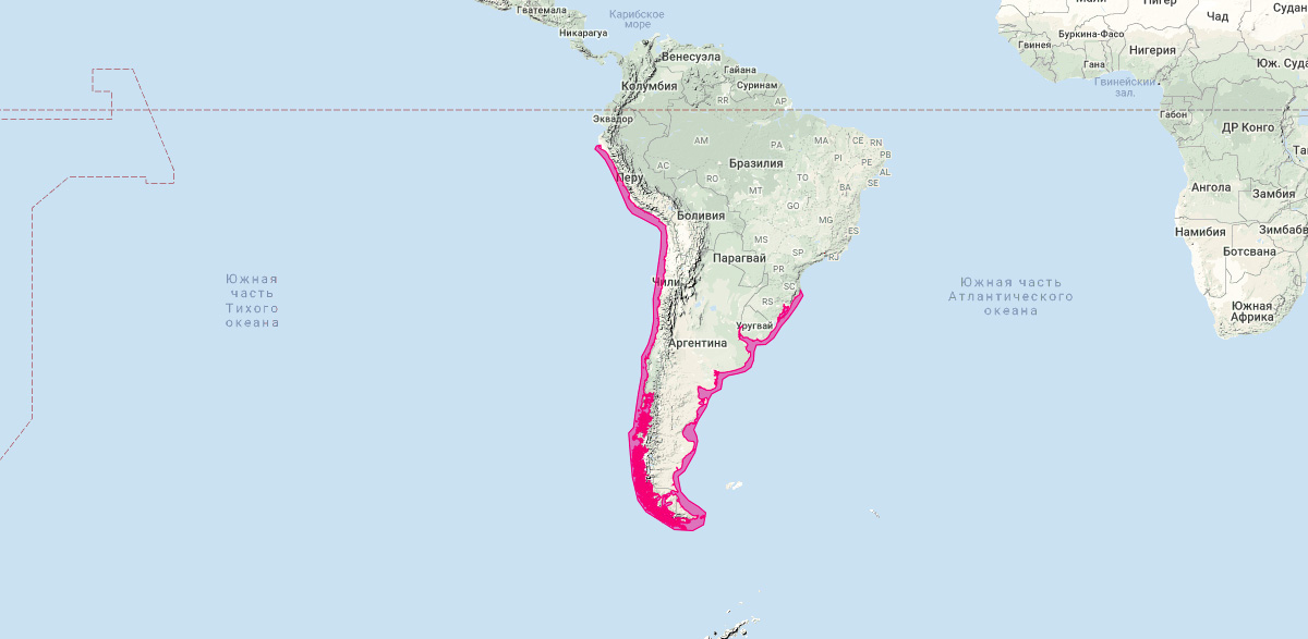 Аргентинская морская свинья (Phocoena spinipinnis) Ареал обитания на карте