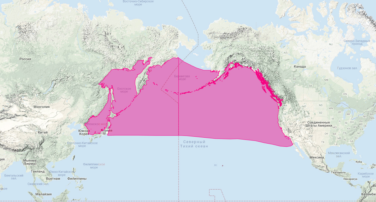 Белокрылая морская свинья (Phocoenoides dalli) Ареал обитания на карте