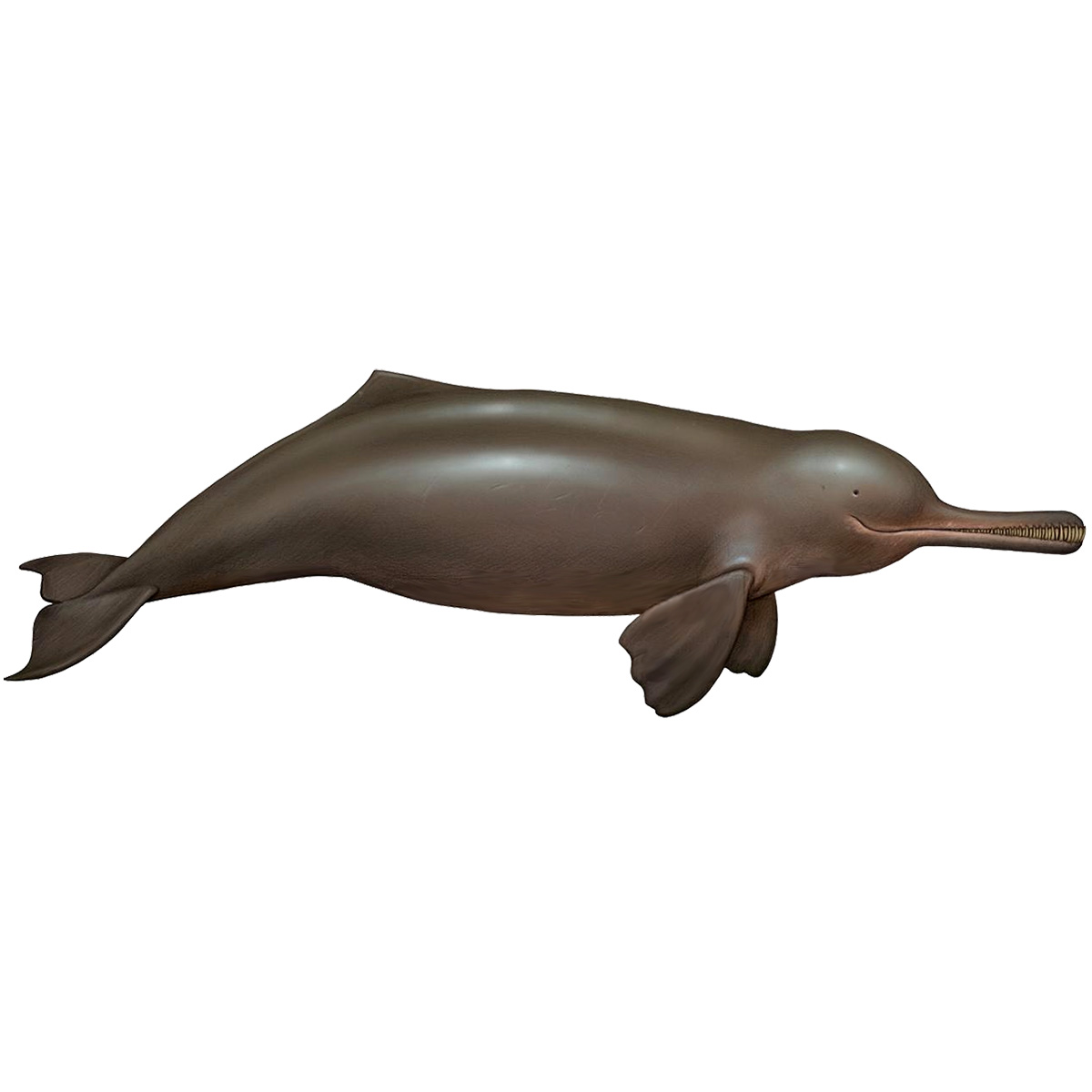 Гангский дельфин (Platanista gangetica) Фото №1